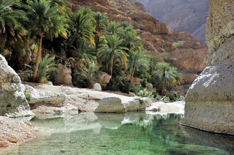 Wadi Shab