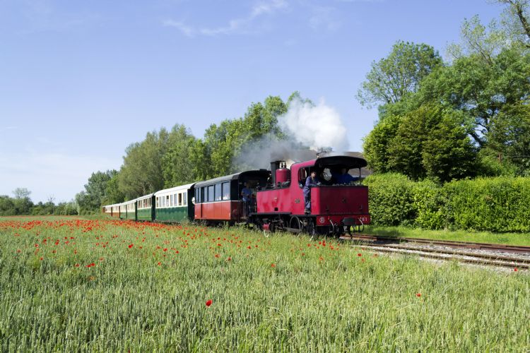 Train touristique en Baie de Somme