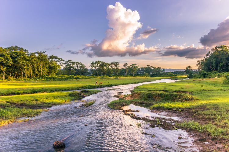 Parc national de Chitwan