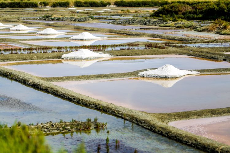 Marais salants de Guérande