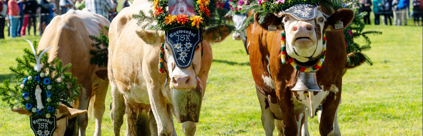 Fête de la transhumance au Tyrol