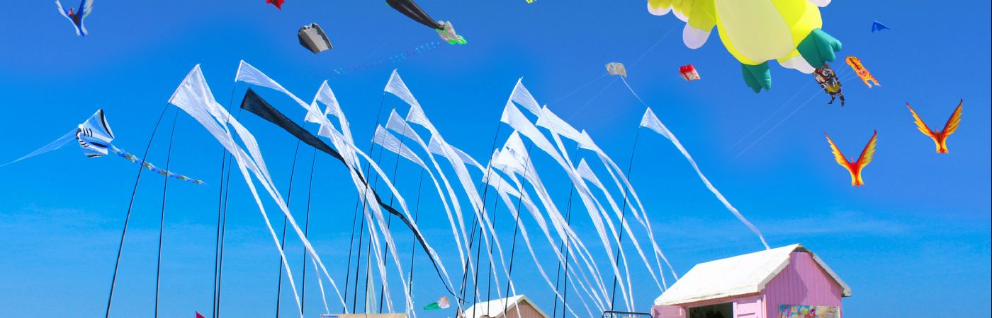 Rencontres Internationales de Cerfs-Volants de Berck-sur-Mer