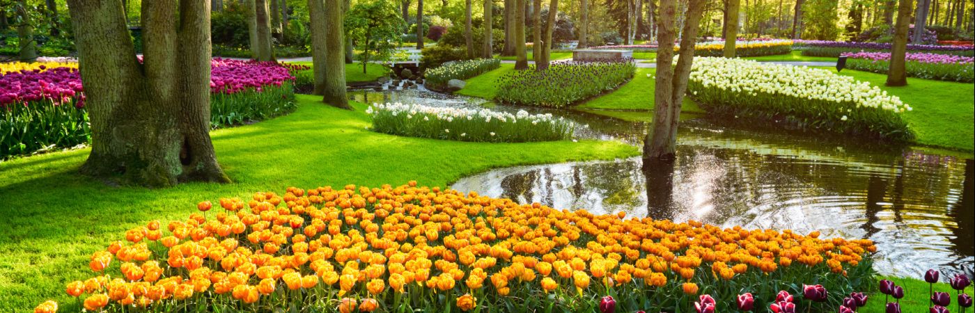Keukenhof
