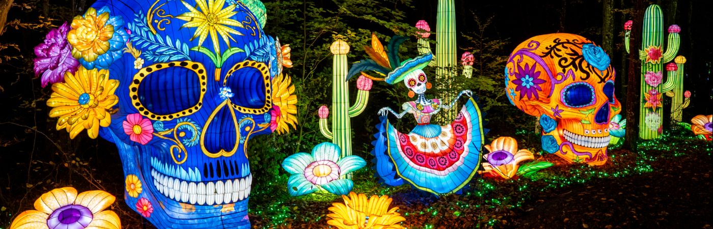 Festival Luminescences au zoo d'Amnéville