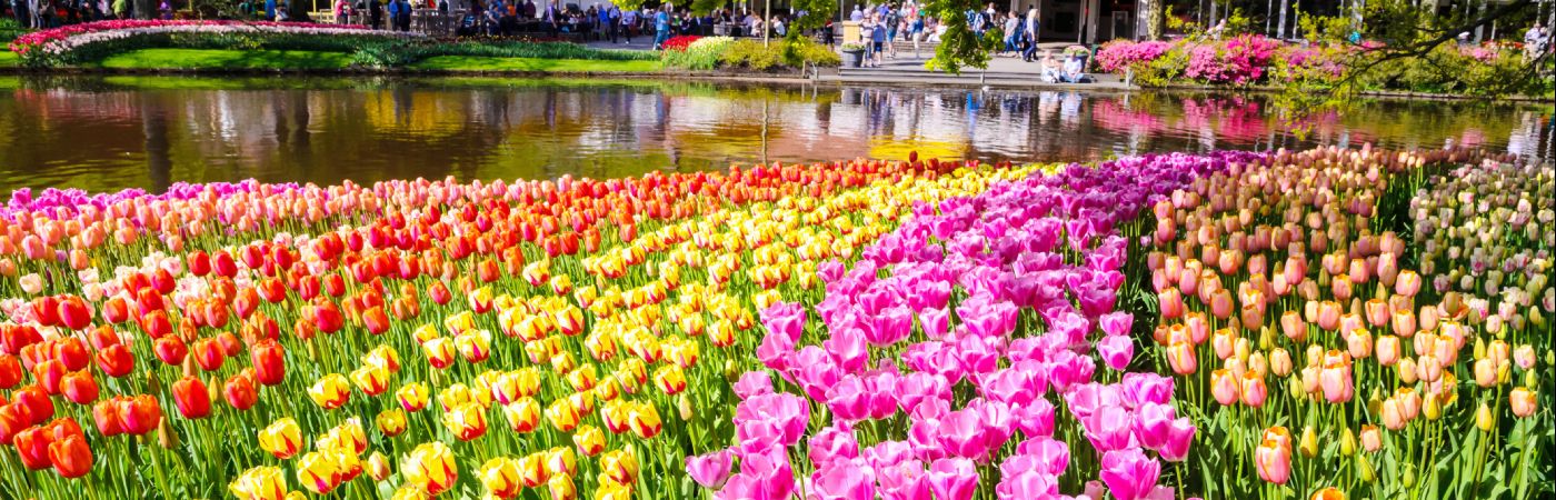 Keukenhof